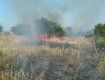 Закарпаття. Рятувальники загасили пожежу, яка охопила виноградники на кордоні двох районів