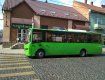 В Мукачево водитель автобуса создал интересную ситуацию на дороге