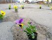 На Закарпатье жители "посадили" в ямы сотню цветов к приезду Президента Украины 