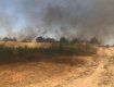 Масштабный пожар в Закарпатье: горело восемь гектаров травы 