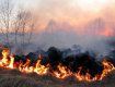 В Закарпатье на месте сгоревшего сухостоя нашли труп мужчины