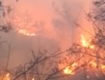 В Закарпатье бушующий огонь охватил огромный лес