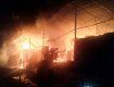 Появилось видео с места масштабного пожара в Закарпатье 