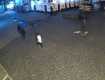 Ужгород. Злодії цуплять зливоприймачі на вулиці Корзо