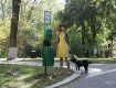 Европейский порядок: Станции для уборки за собаками в Ужгороде установят в 2020 году