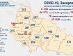 В Закарпатье с начала пандемии умерло 237 пациентов с COVID-19: Данные на 16 августа