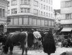 Ужгород 1939 года: Сцены уличной жизни на отреставрированной кинохронике