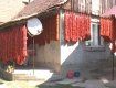 Червоними гірляндами цієї ароматної спеції завішані всі будинки села неподалік столиці Закарпаття