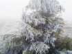 Незвичайні вересневі кадри із зимовим інеєм зафіксували у горах Перечинщини