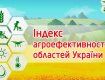 Закарпаття і Прикарпаття є лідерами за індексом агроефективності областей України