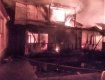 В Закарпатье произошел масштабный пожар - огонь тушили всем миром