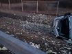 Водитель из Закарпатья стал причиной смертельного ДТП в Венгрии