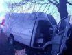 В Закарпатье микроавтобус разбился об дерево: Есть двое пострадавших 