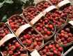 В Закарпатье цена на летнюю ягоду побила рекорд 