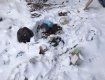 Житель Ужгорода вычислил соседей, которые выкидывали мусор у него под окнами