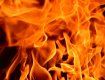 На Закарпатье маленький ребёнок сгорел заживо в собственном доме 