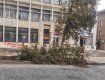 ЧП в Ужгороде: Ураганный ветер с корнями вырывал деревья 