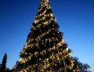 В Ужгороде официально зажгли главную новогоднюю елку 