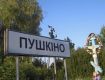 В Закарпатье жители Пушкино определились с новым названием для села