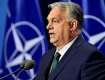У НАТО будет "военная миссия" в Украине - Орбан