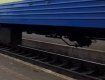 Пассажирский поезд "Львов-Ужгород" сбил насмерть неизвестного бедолагу 