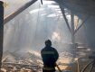 Масштабный пожар уничтожил часть предприятия в Закарпатье 