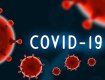 В Закарпатье диагноз "коронавирус" поставили почти сотне людей, есть и смерть