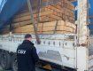 В Закарпатье разоблачили незаконную схему транспортировки древесины за границу