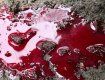 Кровавый случай в Закарпатье: Работника завода нашли всего в крови только спустя некоторое время 
