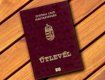 Президент Венгрии забрал гражданство у некоторых жителей Закарпатья