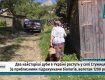 На Закарпатье растут два самых старейших дуба Украины