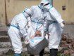 Эпидемия коронавируса бушует в Закарпатье: Данные за последние сутки