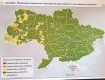 Украину поделили на 4 зоны: Закарпатье отныне в желтой и это не хорошо