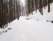 На Закарпатье в горах проводят поисковую операцию: От человека нет вестей уже 3 дня