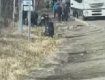 Водители фур устроили массовый мордобой на границе в Закарпатье