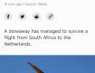 Нелегал живым долетел из Африки в Европу в отсеке шасси самолета 