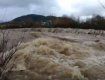 Сильнейшее течение: В Закарпатье одна из рек поднимается до крайне опасного уровня 