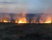 В Закарпатье огонь бушует возле заправочной станции и жилых домов