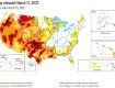 До 60% озимой пшеницы в США может быть уничтожено из-за засухи