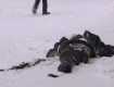 Трагедия в Закарпатье: Молодого сноубордиста настигла жуткая смерть