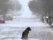 В Закарпатье синоптики предупреждают об ухудшении погоды 
