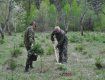 Акція "Майбутнє лісу в твоїх руках" крокує Ужгородщиною