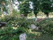 Безумный ураганный ветер пронесся в Закарпатье: Летали деревья, затапливало дома и исчезало электричество
