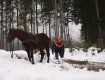 Стягує деревину з лісу до дороги у високогір'ї Дмитро КОСТЯК.