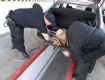 У пункті пропуску «Ужгород» прикордонники виявили в авто співвітчизника "схрон" із цигарками