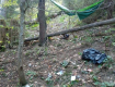 На горной границе в Закарпатье уклонистам грозят встречи с косолапыми