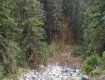 Закарпаття. Купами сміття завалений Яблуницький перевал