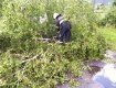 По всему Закарпатью ураганный ветер наделал беды 
