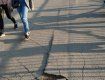 Пішохідний міст у столиці Закарпаття розпадається