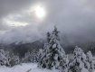 Мандрівникам у горах Закарпаття нелегко — все засипало снігом